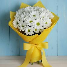 Букет цветов из:  Хризантемы в Лысогорской