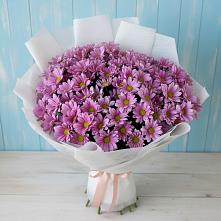 Букет цветов из:  Хризантемы #REPLACE_PRED# Лысогорской