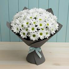 Букет цветов из:  Хризантемы в Лысогорской