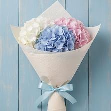 Букет цветов из:  Гортензия в Лысогорской