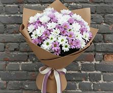 Букет цветов из:  Хризантемы в Лысогорской