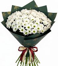 Букет цветов из:  Хризантемы #REPLACE_PRED# Лысогорской