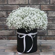 Цветочная композиция из Гипсофила в шляпной коробке в Лысогорской