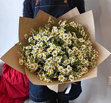 Букет цветов из:  Ромашки #REPLACE_PRED# Лысогорской