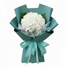 Букет цветов из:  Гортензия в Лысогорской